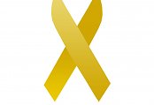 Movimento Maio Amarelo